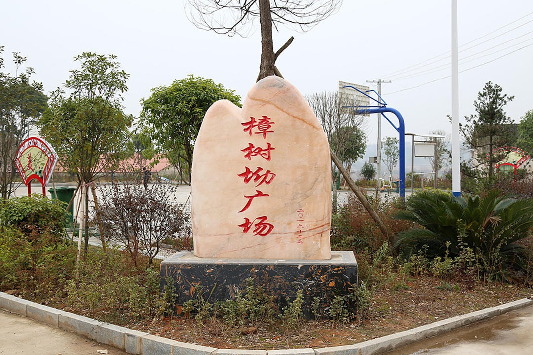 樟树乡：樟树新区，美丽新城 (13+1)