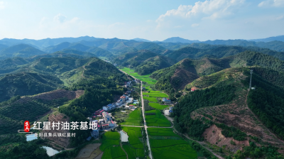 魅力古镇 锦绣集兵 (11+1)