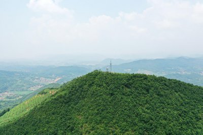 邹岗山 (0+1)