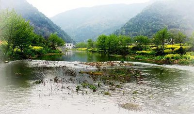 大安乡：邹岗山上去探秘，荸荠油茶名自远 (3+1)