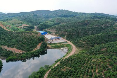 大安乡：邹岗山上去探秘，荸荠油茶名自远 (1+1)