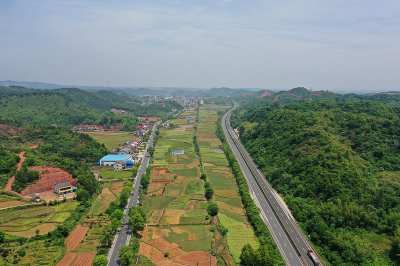 樟木乡：佳乡樟木，滨江古镇 (2+1)