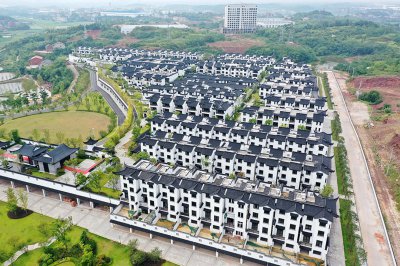 樟树乡：樟树新区，美丽新城 (1+1)