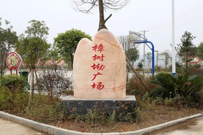 樟树乡：樟树新区，美丽新城 (13+1)