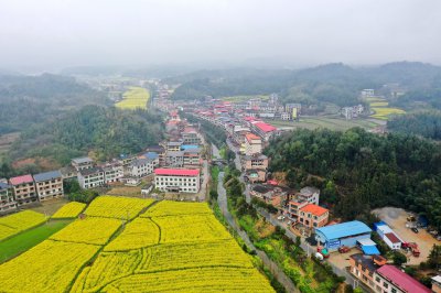 溪江镇航拍 (0+1)