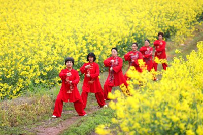 花田练太极拳 迎“国际太极拳日” (0+1)