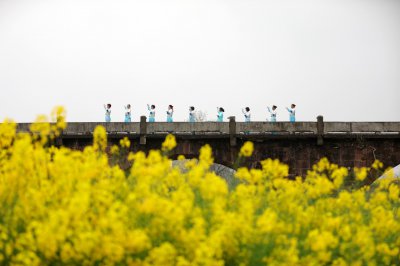 花田练太极拳 迎“国际太极拳日” (2+1)
