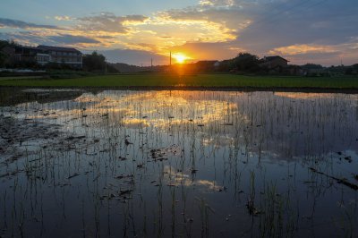 早晨田园景色