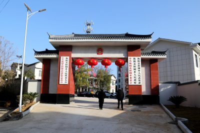 醉美樟树 (0+1)