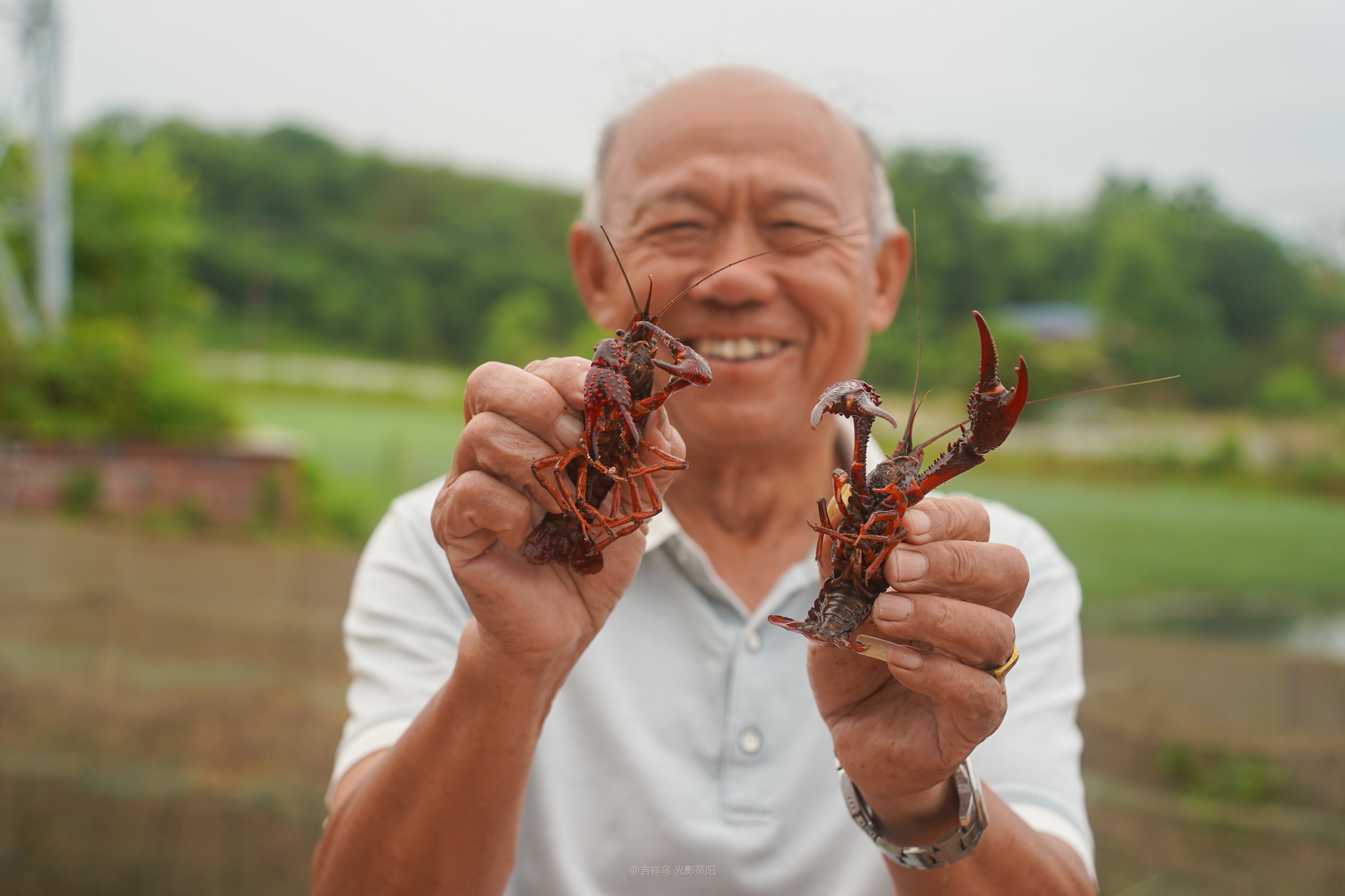 易市小龙虾 (0+1)