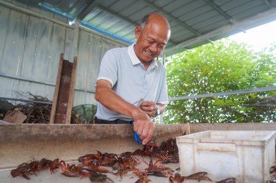 易市小龙虾 (1+1)