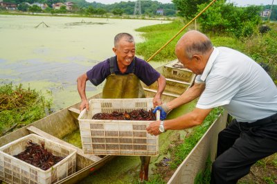 易市小龙虾 (2+1)