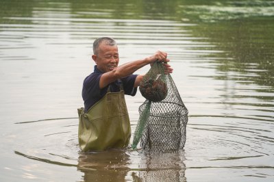 易市小龙虾 (4+1)