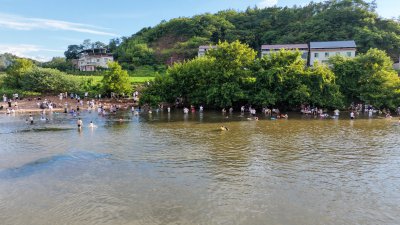 清花湾 (6)