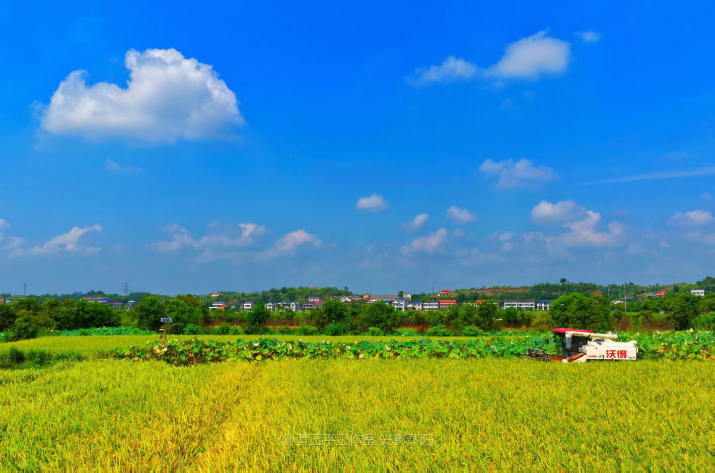 台九村丰收 (6)