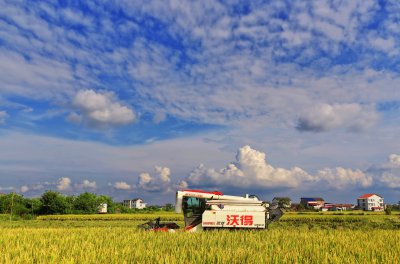 2026年台九村 (4)