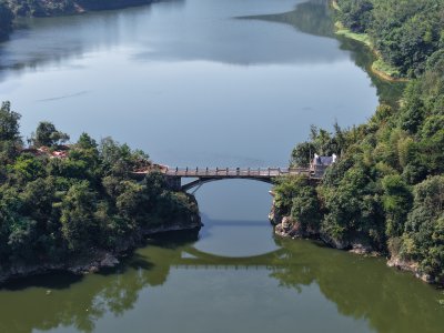 二牛相斗 (2)