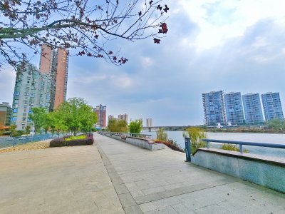衡阳县体育公园 (3)