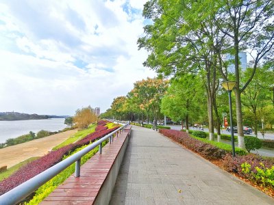 衡阳县体育公园 (1)