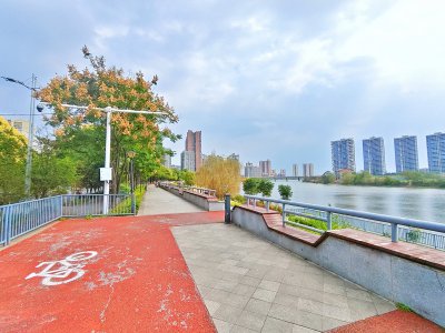 衡阳县体育公园 (4)