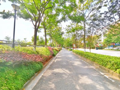 衡阳县体育公园 (2)